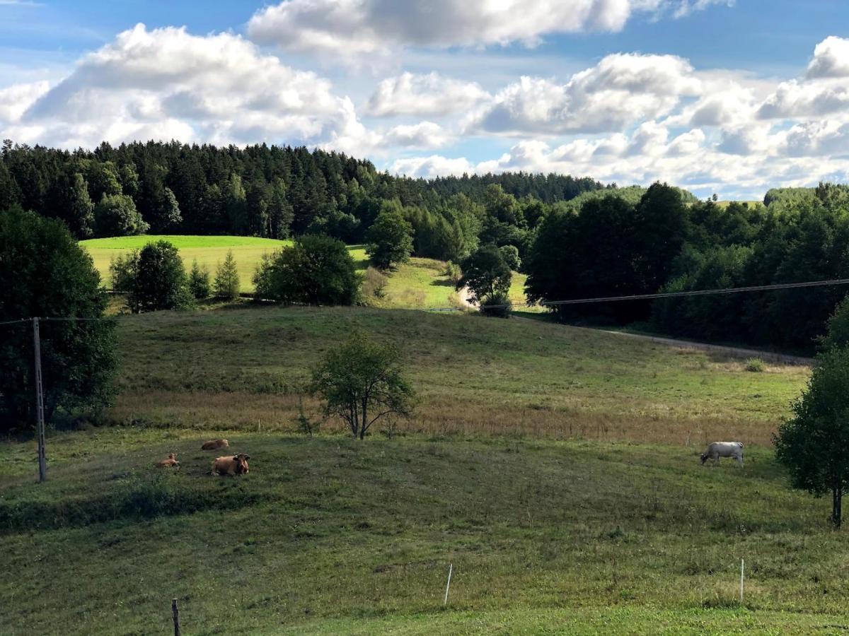 Polimony - Dom Nad Jeziorem Z Prywatnym Pomostem Polimonie Buitenkant foto
